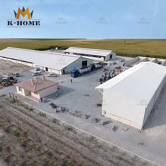 Fornitura magazzino UE/USA/Au 23076
